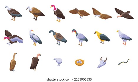 Vulture icons set isometric vector. Bird animal. Africa prey