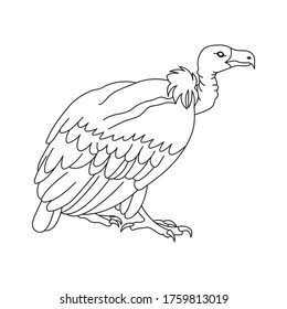 Vulture line art. continuous line drawing. line art vector logo design. illustration. hand made icon sketch