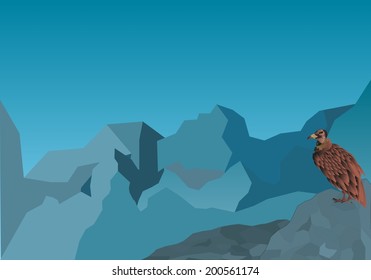 Vulture in the mountains
