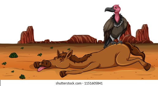 A vulture on dead horse illustration