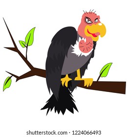 The vulture is on the tree branch.