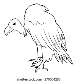 Vulture outline illustration