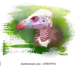 Vulture portrait & green background. Vector illustration / Eps10