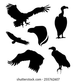 Vulture set of silhouettes vector