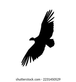 vulture silhouette black and white icon 3
