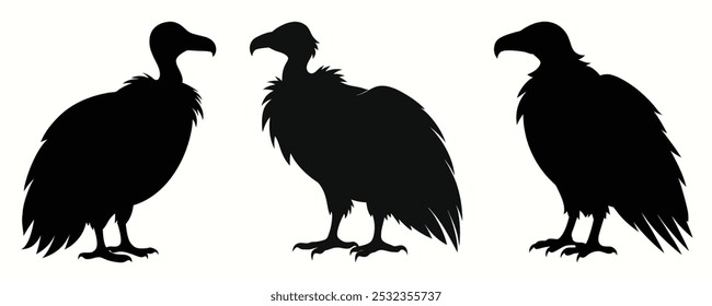 Vulture Silhouette Bundle vector illustration