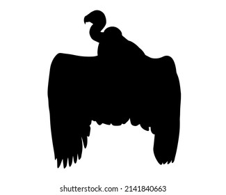 Vulture silhouette isolated on a white background