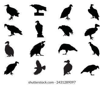 Vulture silhouette vector art white background