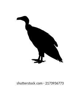 Vulture Silhouette Vector. Best Vulture Icon Illustration On White Background.