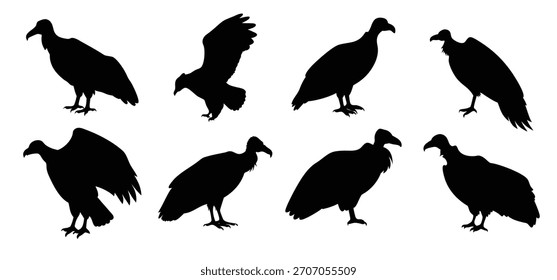 Conjunto de Vector de silueta de buitre - Clipart de aves rapaces para Diseños de vida silvestre