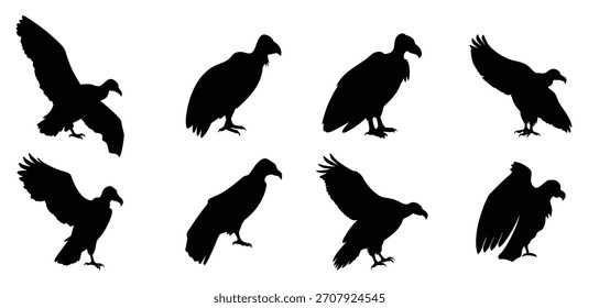 Conjunto de Vector de silueta de buitre - Clipart de aves rapaces para Diseños de vida silvestre