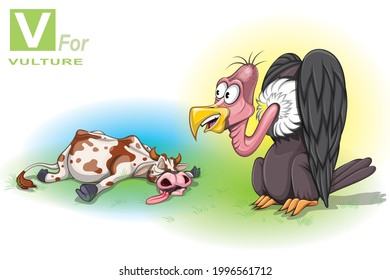 An vulture is sitting in the field looking at the dead cow. A large bird of prey long neck, feeding mainly on carrion and with others in anticipation of the death of a sick or injured animal or person