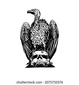 vulture and skull head design ilustration