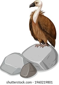 Vulture standing on stone on white background illustration