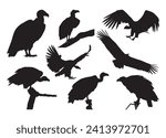 Vulture Vector Bundle For Print, Vulture Clipart, Vulture Illustration