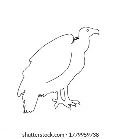 Vulture vector line contour silhouette illustration isolated on white background. Big bird symbol. Griffon vulture zoo attraction.