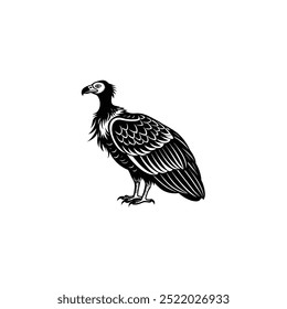  vulture vector logo vector illustration