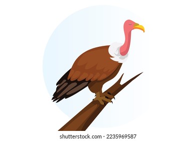 Vultures bird isolated Vector design