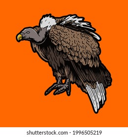 Vultures are vultures and dead animals