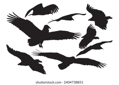 Vultures flying differently from each other. Vector images. 