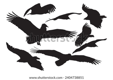 Image, Stock Photo be free Vulture Flying