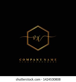 VX Initial luxury handwriting logo vector