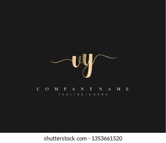 VY initial handwriting logo template vector