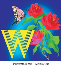 w letter alphabet with pictures for children