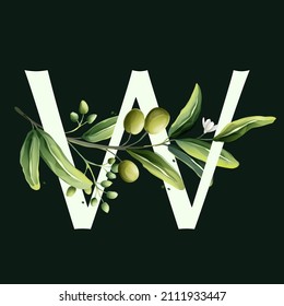 W letter logo in watercolor style with olive branches. Illustration of mediterranean berries, green leaves, flowers, buds, and branches. 