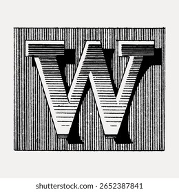 W letter, ornamental font illustration isolated on white, vector. Creative font and typography letter, isolated vector. Vintage black font.