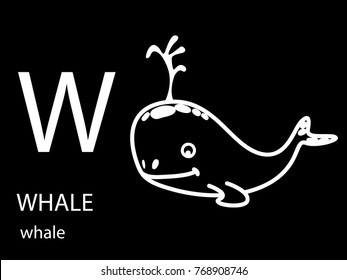 w for whale 