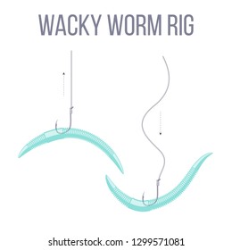 Wacky worm rig for catching predatory bass fish with spinning rod, braided fishing line and hook.