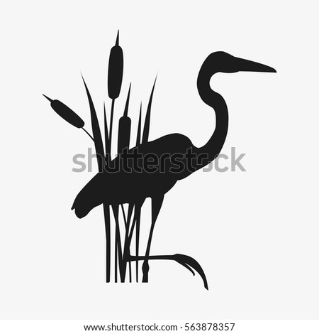 Wader and reed. Isolated on white nackground. vector stock illustration