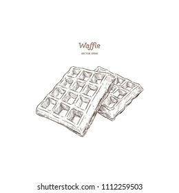 Waffles, Hand Draw Sketch Vector.