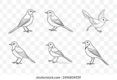 Wagtail Line Art Vector Set with Detailed Illustrations for Creative Design Projects