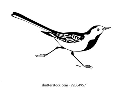 Wagtail Silhouette On White Background Vector Stock Vector (Royalty ...