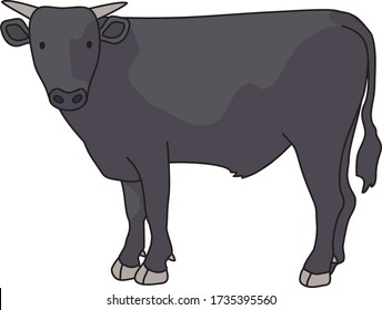 
Wagyu is Japanese high-class beef.
