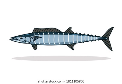 Wahoo fish Illustration graphic vector art