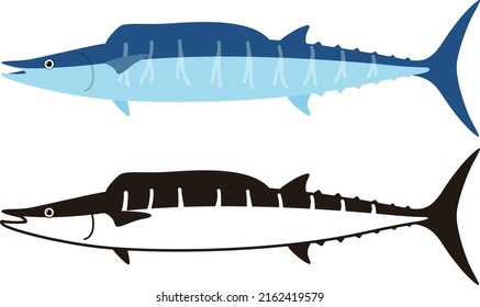 Wahoo fish, sider view, vector illustration