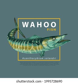 Wahoo Fish Vector for Article or apparel design look good.