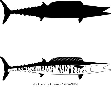 Wahoo fish vector silhouette illustration