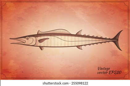 Wahoo Fish Vintage Vector Illustration