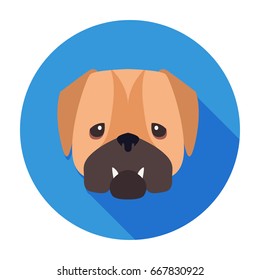 Wailful muzzle of English bulldog drawn icon on blue circle background. Vector illustration of shorthaired breed of dogs. Two fangs sticking out of closed canine mouth. Hand drawing graphic design.