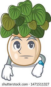 Waiting peperomia with in the cartoon shape