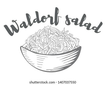 Waldorf Salad. Hand drawn sketch. Organic food. Vector illustration on white background.