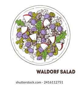 Ilustración vectorial de la ensalada Waldorf. Vista superior. Ensalada de frutas y nueces. Gráfico lineal. Esbozo de comida.