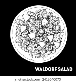 Waldorf salad hand drawn vector illustration. Top view. Fruit and nut salad . Linear graphic. Food sketch.