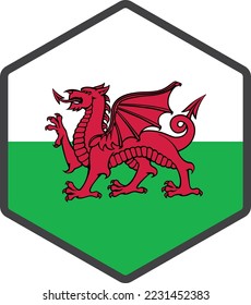 wales flag icon vector design