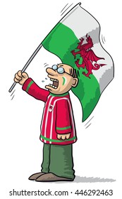 Wales soccer supporter