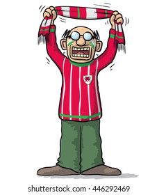Wales soccer supporter